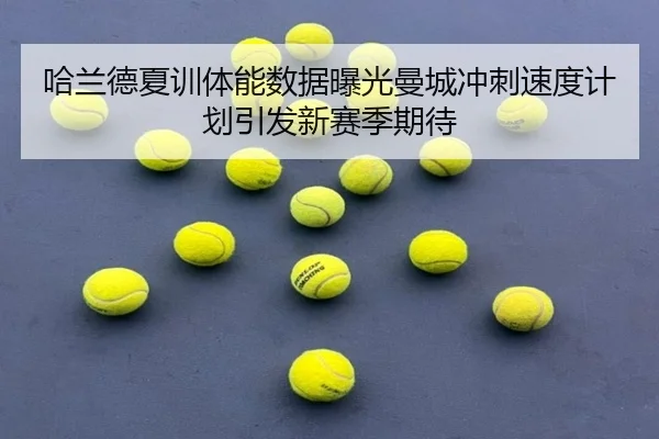 哈兰德夏训体能数据曝光曼城冲刺速度计划引发新赛季期待